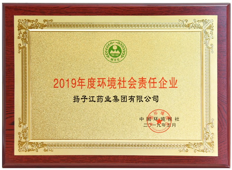 環(huán)境社會(huì)責(zé)任企業(yè)（2019）